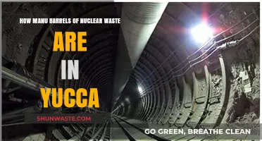 Yucca Mountain's Nuclear Waste Storage: How Many Barrels Are Buried?