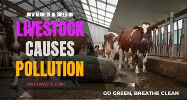 Manure's Impact: Livestock Breeding and Environmental Pollution