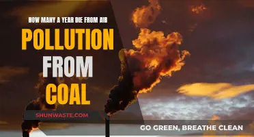 Fatal Coal Legacy: Yearly Pollution Deaths