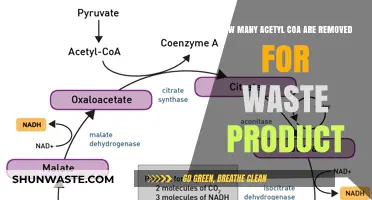 Understanding Acetyl-CoA Waste Removal in Metabolic Processes
