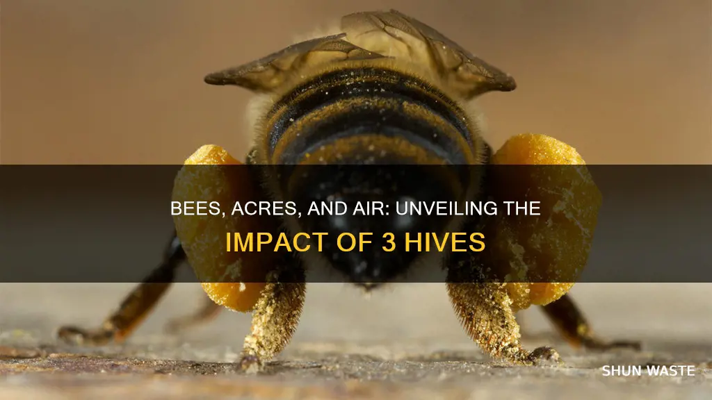 how many acres can 3 beehives pollutant