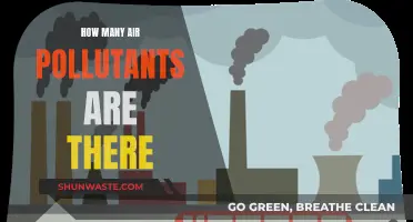Air Pollutants: Understanding the Many Threats to Our Atmosphere