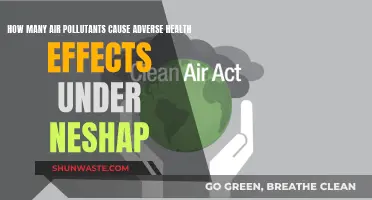 Unveiling the Impact: Air Pollutants and Their Health Hazards Under Neshap