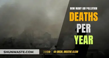 Air Pollution's Deadly Toll: Annual Death Count