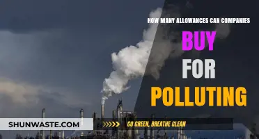 The Price of Pollution: How Many Allowances Can Companies Buy?