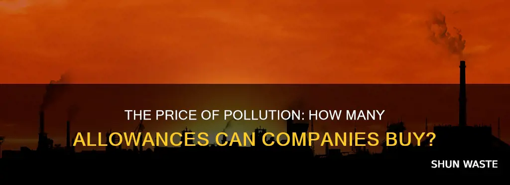 how many allowances can companies buy for polluting