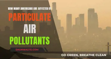 Americans and Air Pollution: Millions Breathe Polluted Air