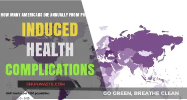 Pollution Kills: America's Annual Death Toll