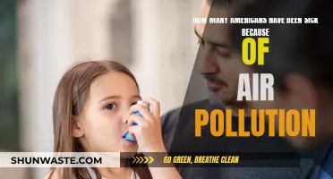 Air Pollution's Sickening Impact on Americans