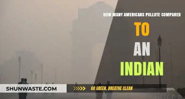 Pollution Paradox: Americans vs Indians
