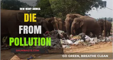 Pollution's Deadly Impact on Animals