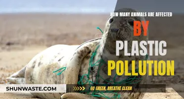 Plastic Pollution's Impact: Countless Animals Endangered