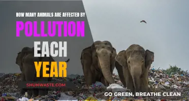 Pollution's Impact: Count of Animals Affected Yearly