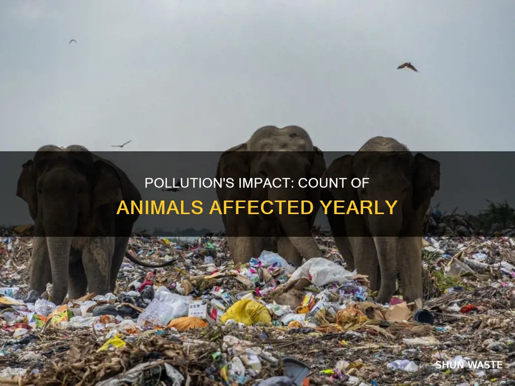 how many animals are affected by pollution each year