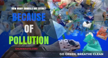 Pollution's Deadly Toll: Counting Lost Species
