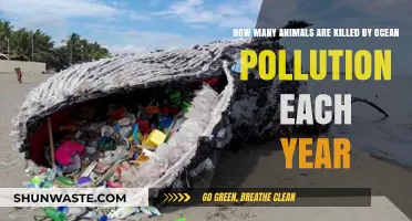 Ocean Pollution: Killing Millions of Animals Yearly