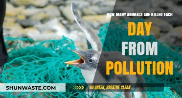 Pollution's Daily Death Toll: Animals Pay the Ultimate Price