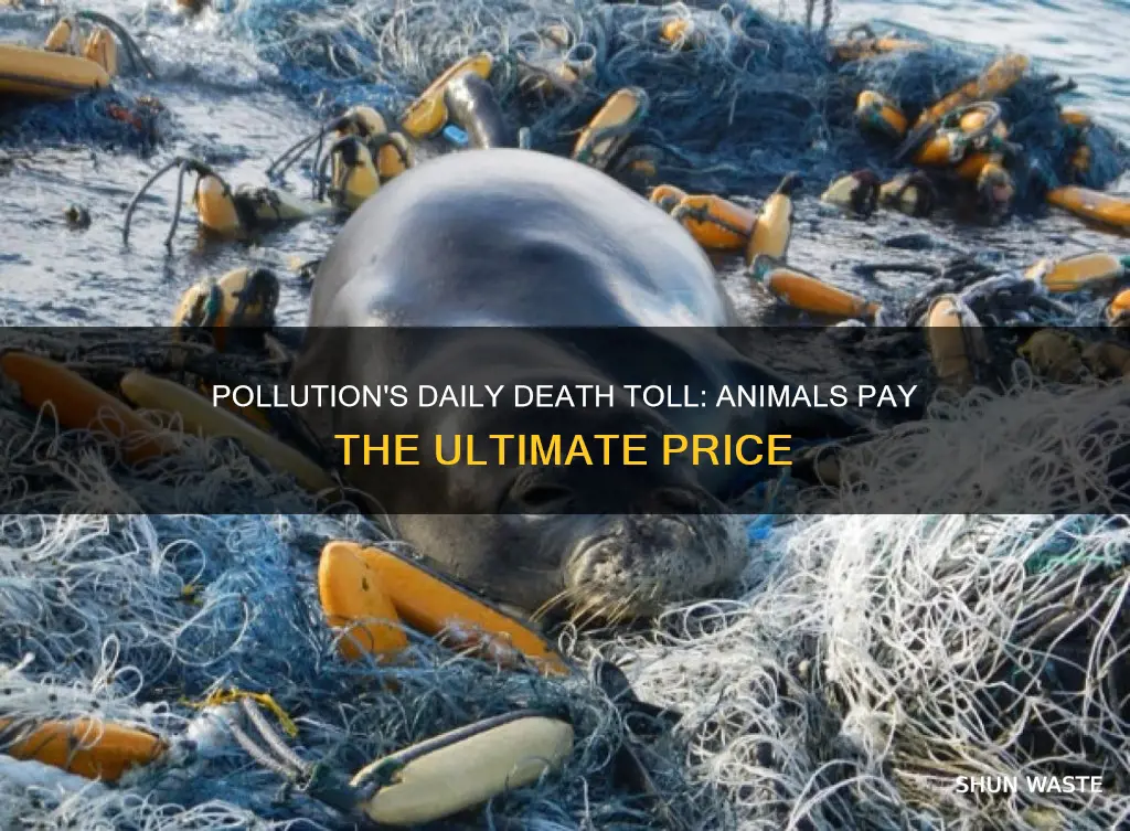 how many animals are killed each day from pollution