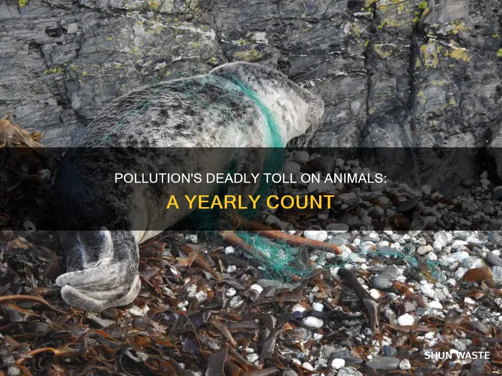how many animals die a year from pollution