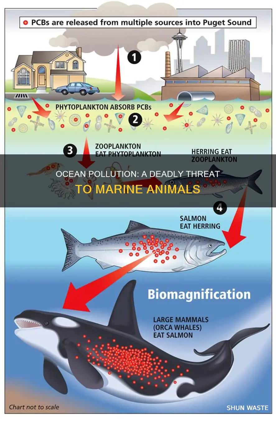 how many animals die from ocean pollution