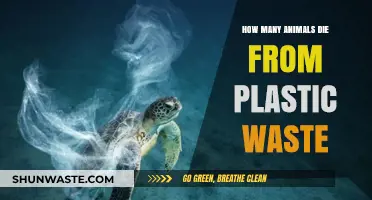 Plastic Waste's Deadly Impact: How Many Animals Die Annually?