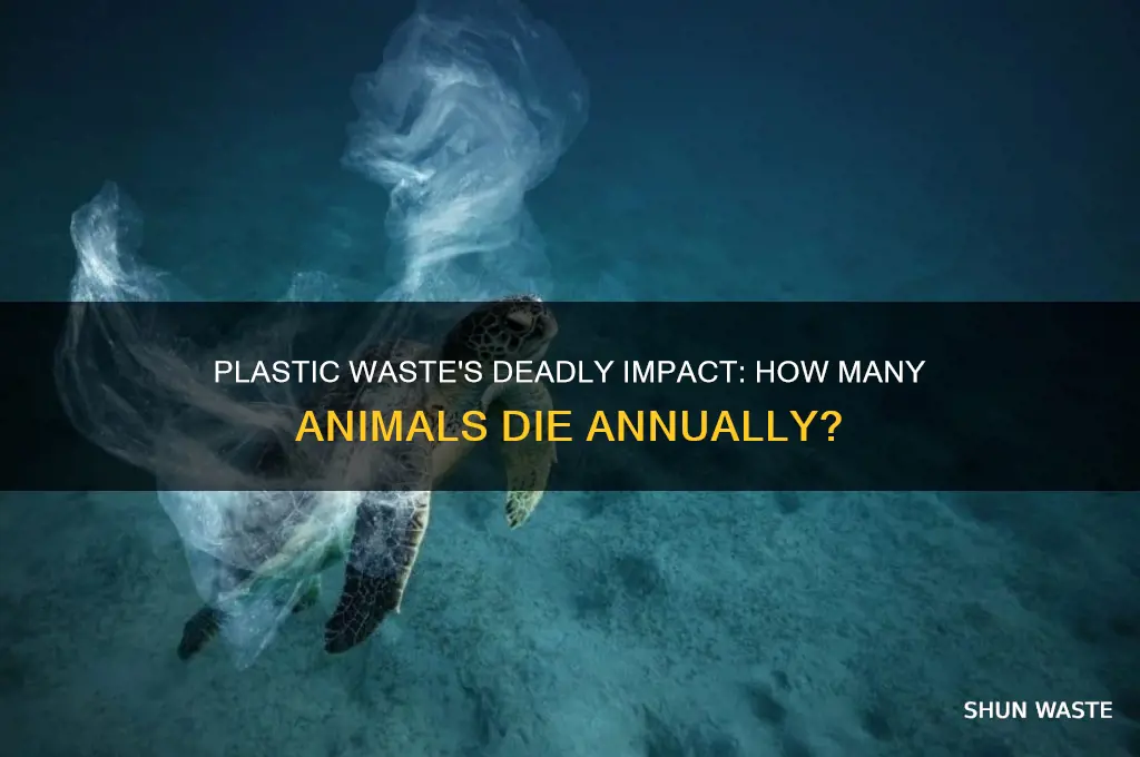 Plastic Waste's Deadly Impact: How Many Animals Die Annually? | ShunWaste