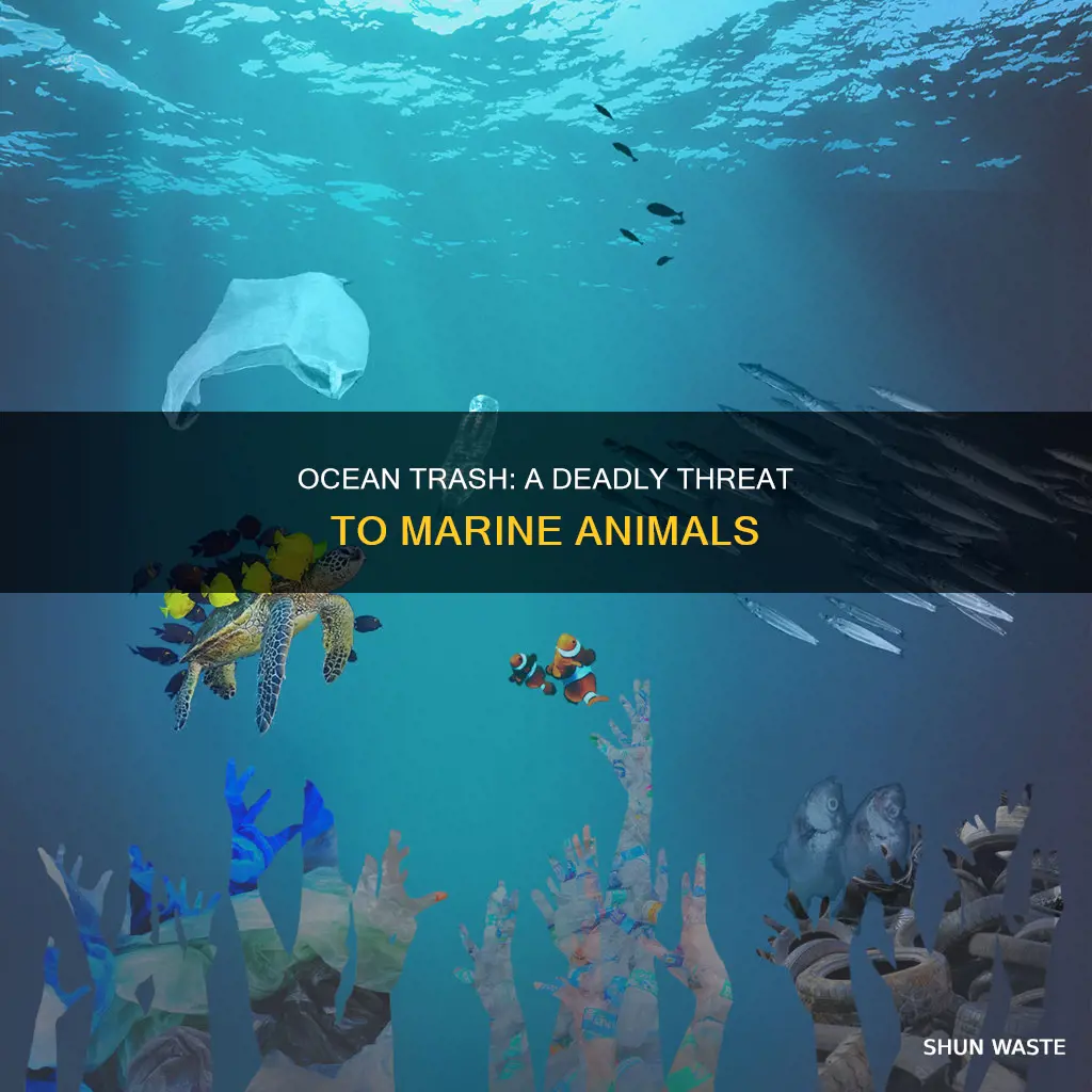how many animals die from trash in the ocean