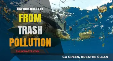 Trash Pollution: A Deadly Threat to Animal Life