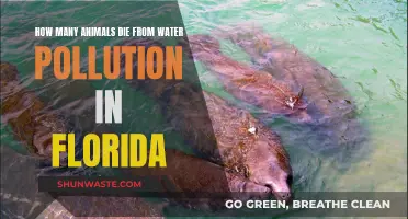 Florida's Aquatic Life Crisis: A Shocking Water Pollution Statistic