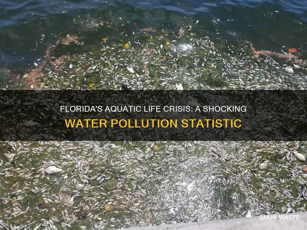 how many animals die from water pollution in florida