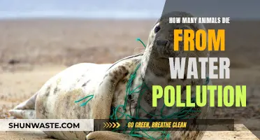 The Devastating Impact: How Water Pollution Claims Animal Lives