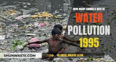 The Devastating Impact: Counting the Casualties of Water Pollution in 1995