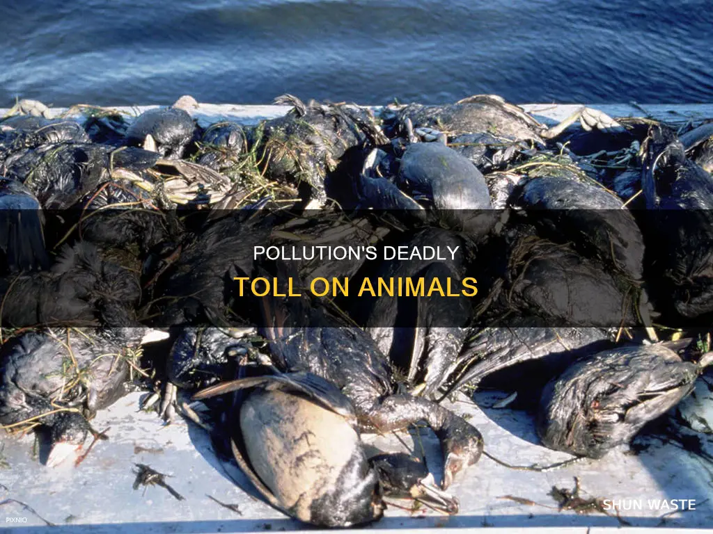 how many animals does pollution kill a year