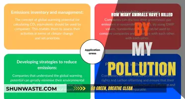 My Pollution's Impact: How Many Animals Have I Killed?