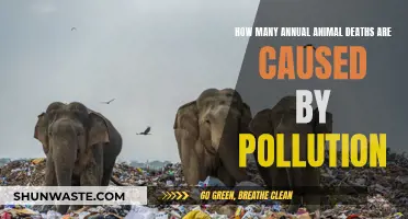 Pollution's Impact: The Shocking Annual Animal Death Toll