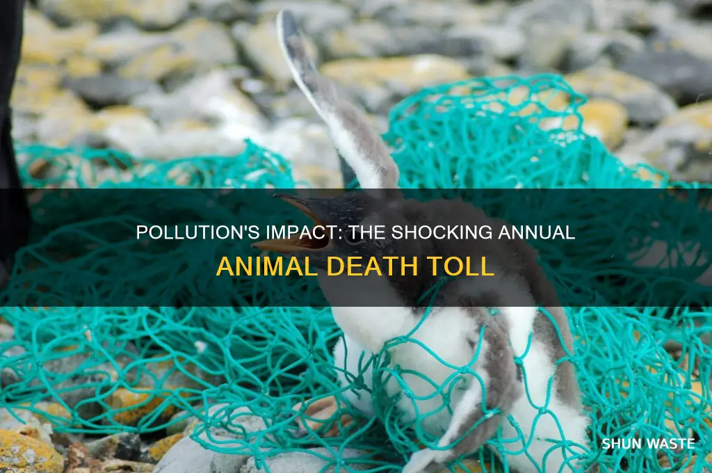 how many annual animal deaths are caused by pollution