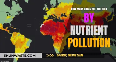 Nutrient Pollution's Impact: Affected Areas and Their Challenges