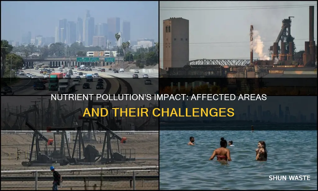 how many areas are affected by nutrient pollution