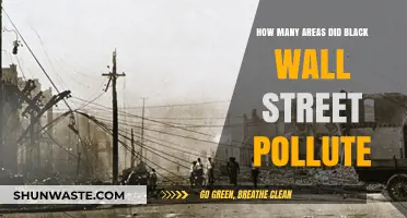 Black Wall Street's Environmental Impact: Polluting Many Areas
