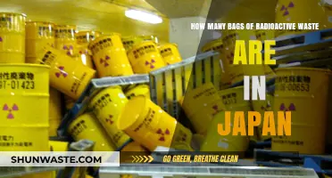 Japan's Radioactive Waste: Counting the Bags and Addressing the Challenge