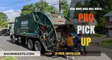Waste Pro's Bag Pickup Limits: What You Need to Know