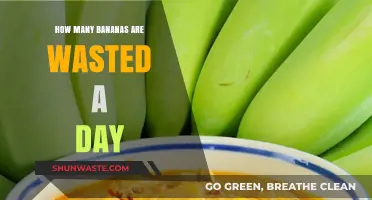 Daily Banana Waste: Shocking Amounts Thrown Away Each Day