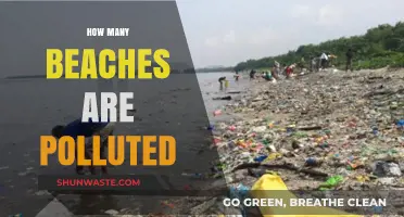 Beaches: Polluted and Pristine — A Global Overview