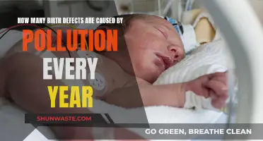 The Hidden Cost of Pollution: Birth Defects and Their Impact