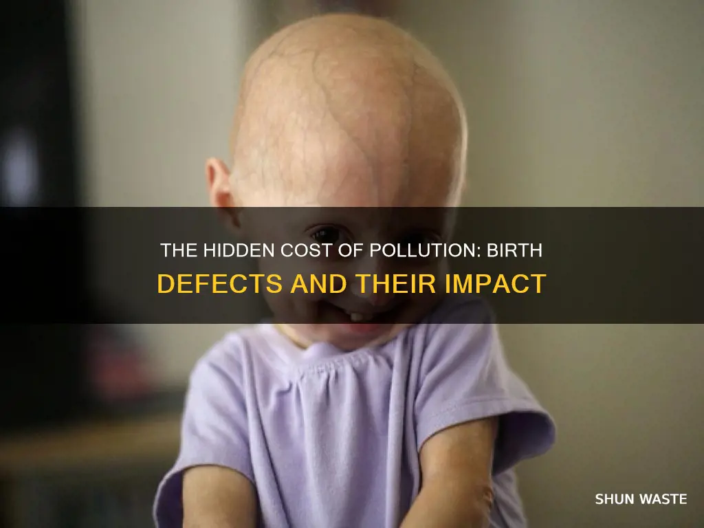 how many birth defects are caused by pollution every year