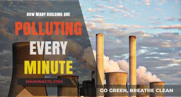 The Toxic Truth: Buildings and Their Pollution Rates