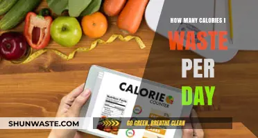 Daily Calorie Burn: Understanding Your Body's Energy Expenditure
