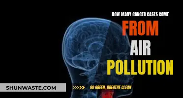 Air Pollution's Cancerous Impact: Understanding the Risk