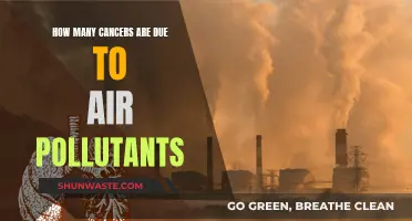 Air Pollutants: A Preventable Cancer Risk?