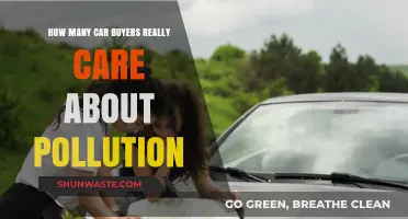 Car Buyers' Pollution Concern: Who Cares?